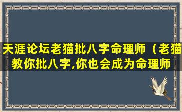 天涯论坛老猫批八字命理师（老猫教你批八字,你也会成为命理师 脱水版）